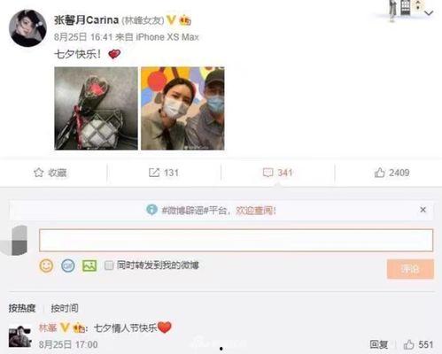 娱乐大爆料林峯视频,娱乐大爆料背后的精彩瞬间